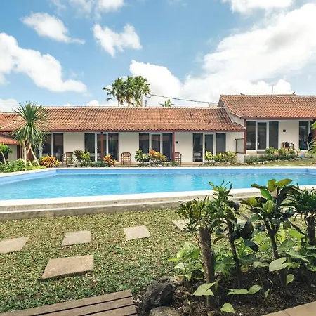 Nami Surf Stay
